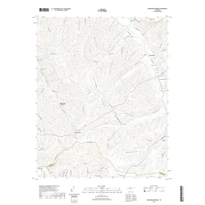 2019 Map of Beaverdam Springs, 2019 Print