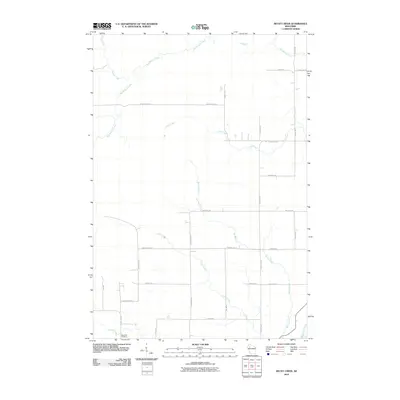2010 Map of Becky Creek, 2010 Print