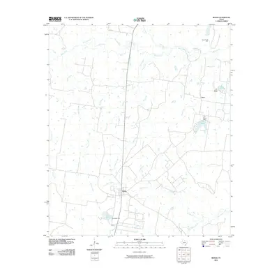2010 Map of Bedias, 2010 Print
