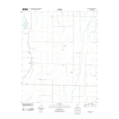 2011 Map of Beedeville, 2011 Print