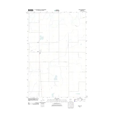 2011 Map of Bejou, 2011 Print