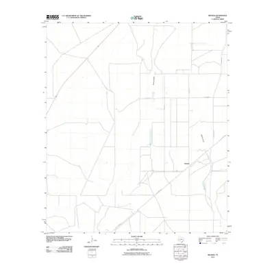 2010 Map of Belding, 2010 Print