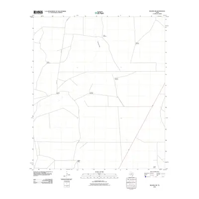 2010 Map of Belding SW, 2010 Print