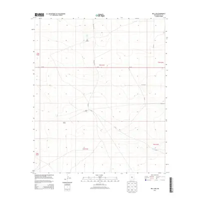 2013 Map of Bell Lake, 2013 Print