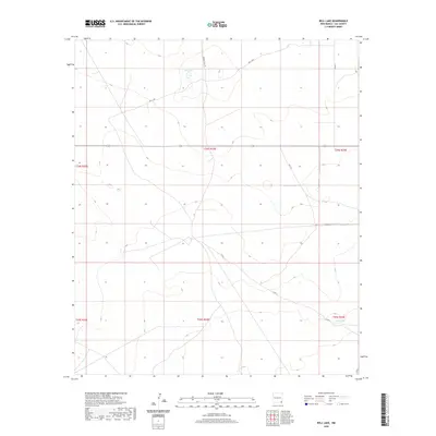 2020 Map of Bell Lake, 2020 Print