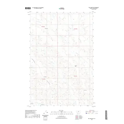2020 Map of Bell Ridge East, 2020 Print