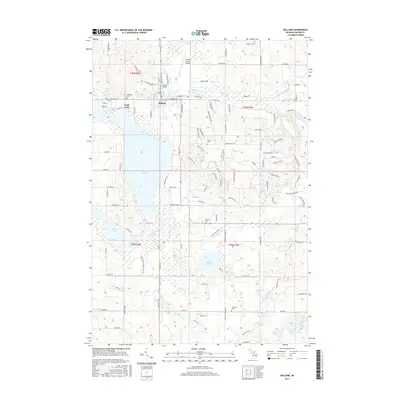 2017 Map of Bellaire, 2017 Print