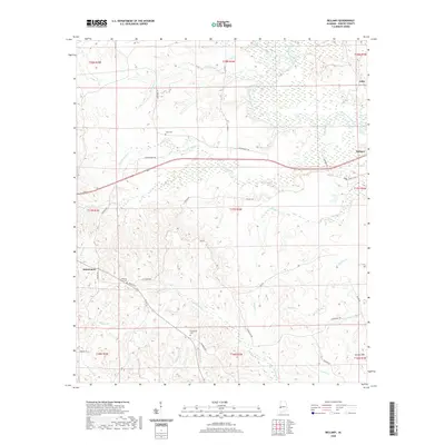 2020 Map of Bellamy, 2020 Print