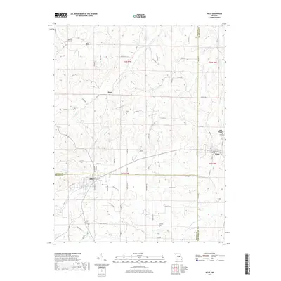 2017 Map of Belle, 2017 Print