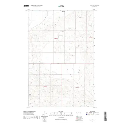 2020 Map of Belle Prairie, 2020 Print