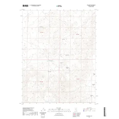 2021 Map of Bellehelen, 2021 Print