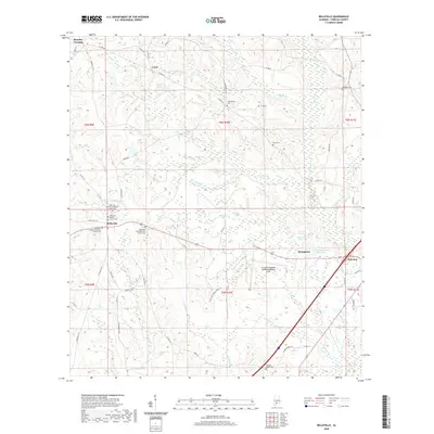 2020 Map of Belleville, 2020 Print