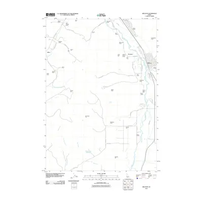 2010 Map of Bellevue, 2010 Print