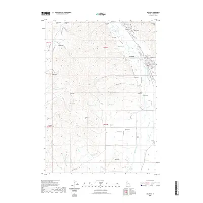 2020 Map of Bellevue, 2020 Print