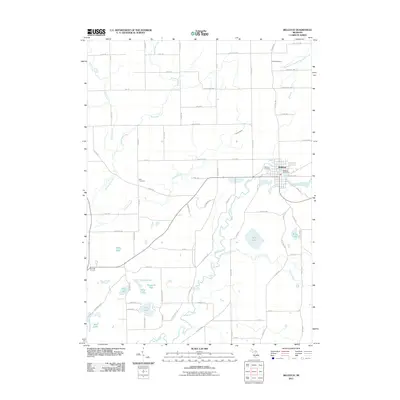 2011 Map of Bellevue, 2011 Print