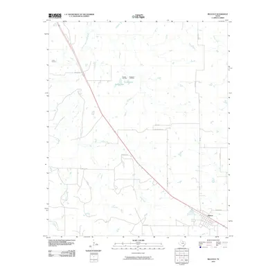 2010 Map of Bellevue, 2010 Print