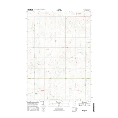 2015 Map of Bellinger, 2015 Print