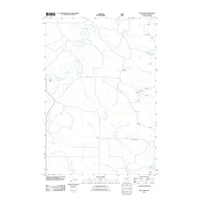 2011 Map of Belltower, 2011 Print