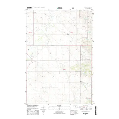 2017 Map of Belltower, 2017 Print