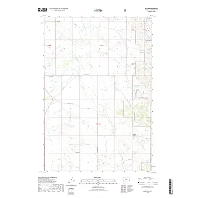 2020 Map of Belltower, 2020 Print