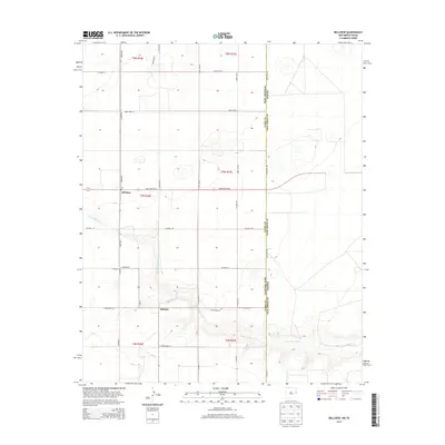 2013 Map of Bellview, 2013 Print