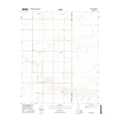 2017 Map of Bellview, 2017 Print