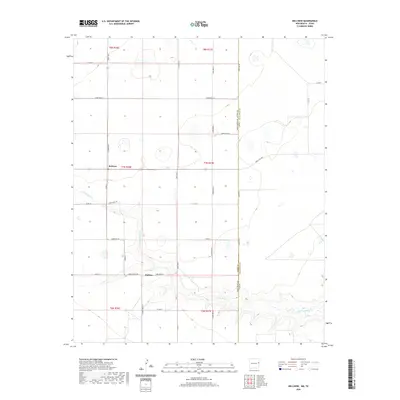 2020 Map of Bellview, 2020 Print