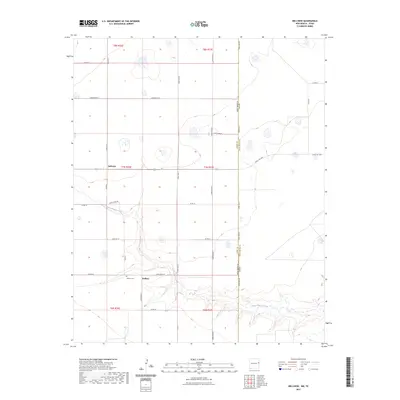 2023 Map of Bellview, 2023 Print