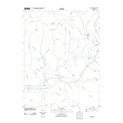 2011 Map of Belmont, 2011 Print