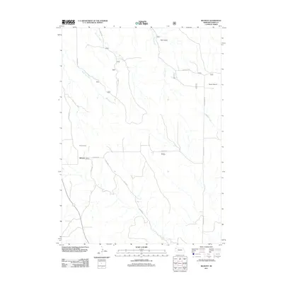 2011 Map of Belmont, 2011 Print