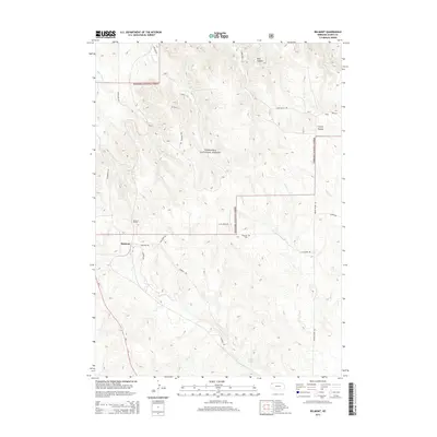 2014 Map of Belmont, 2014 Print
