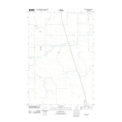 2011 Map of Belmont, 2011 Print