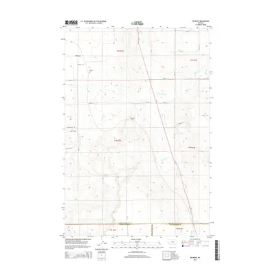 2014 Map of Belmont, 2014 Print