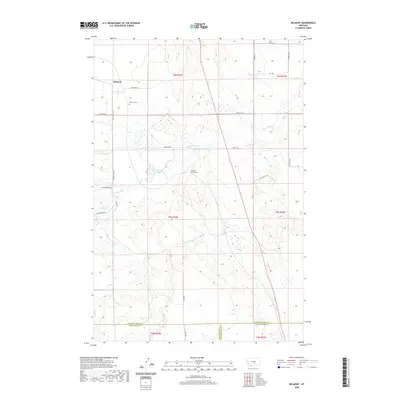 2020 Map of Belmont, 2020 Print