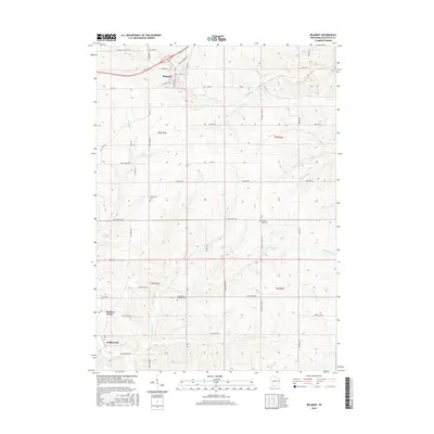 2016 Map of Belmont, 2016 Print