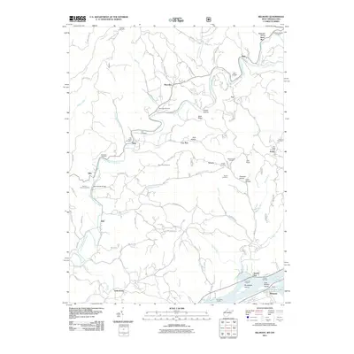 2011 Map of Belmont, 2011 Print