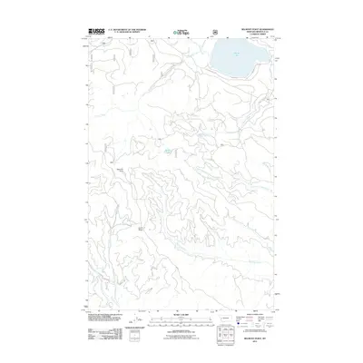 2011 Map of Belmont Point, 2011 Print