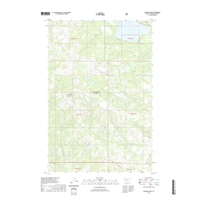 2020 Map of Belmont Point, 2020 Print