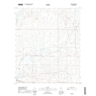 2020 Map of Belmont, 2020 Print