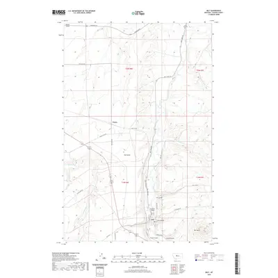 2020 Map of Belt, 2020 Print
