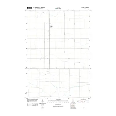 2010 Map of Belview, 2010 Print