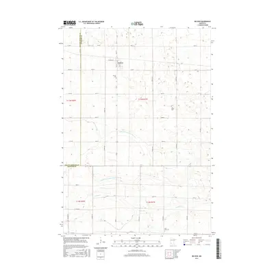 2016 Map of Belview, 2016 Print