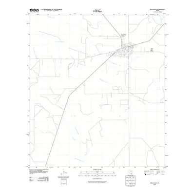 2010 Map of Benavides, 2010 Print
