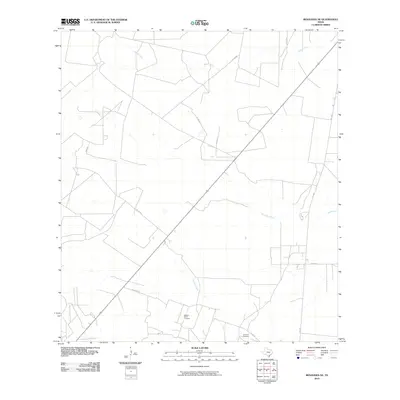 2010 Map of Benavides NE, 2010 Print