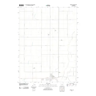 2010 Map of Bennett, 2010 Print