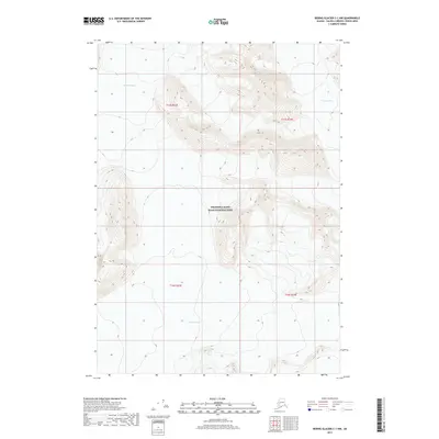 2017 Map of Bering Glacier C-1 NW, 2017 Print