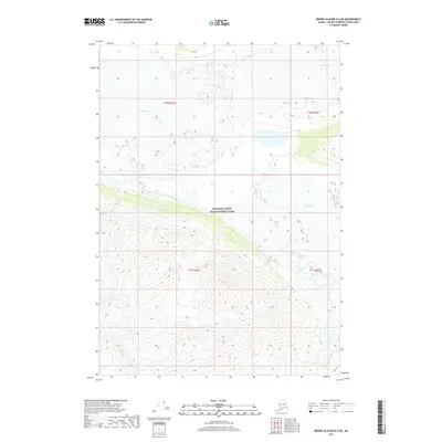 2017 Map of Bering Glacier D-2 NE, 2017 Print