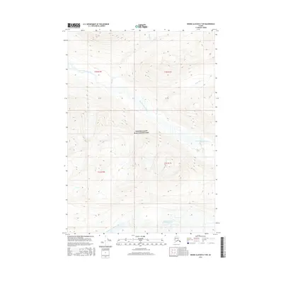 2016 Map of Bering Glacier D-7 NW, 2016 Print