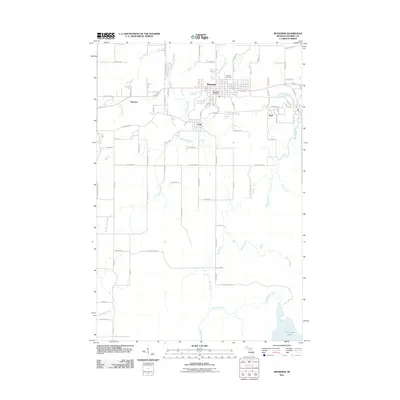 2011 Map of Bessemer, 2011 Print