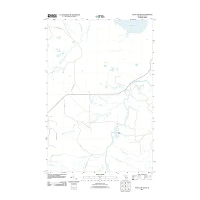 2011 Map of Betsy Lake South, 2011 Print
